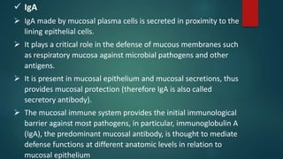 IgA
 IgA made by mucosal plasma cells is secreted in proximity to the
lining epithelial cells.
 It plays a critical role in the defense of mucous membranes such
as respiratory mucosa against microbial pathogens and other
antigens.
 It is present in mucosal epithelium and mucosal secretions, thus
provides mucosal protection (therefore IgA is also called
secretory antibody).
 The mucosal immune system provides the initial immunological
barrier against most pathogens, in particular, immunoglobulin A
(IgA), the predominant mucosal antibody, is thought to mediate
defense functions at different anatomic levels in relation to
mucosal epithelium
 