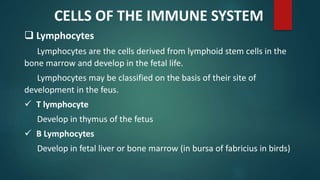  Lymphocytes
Lymphocytes are the cells derived from lymphoid stem cells in the
bone marrow and develop in the fetal life.
Lymphocytes may be classified on the basis of their site of
development in the feus.
 T lymphocyte
Develop in thymus of the fetus
 B Lymphocytes
Develop in fetal liver or bone marrow (in bursa of fabricius in birds)
CELLS OF THE IMMUNE SYSTEM
 