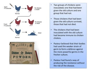 • Two groups of chickens were
inoculated; one that had been
given the old culture and one
group that had not.
• Those chickens that had been
given the old culture survived,
those that had not died.
• The chickens that had been
inoculated with the old culture
had become immune to chicken
cholera.
• Pasteur believed that their bodies
had used the weaker strain of
germ to form a defence against
the more powerful germs in the
fresher culture.
• Pasteur had found a way of
producing the resistance without
the risk of the disease.
 