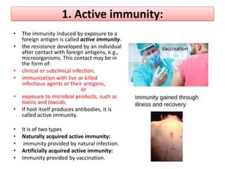 1. Active immunity:
• The immunity induced by exposure to a
foreign antigen is called active immunity.
• the resistance developed by an individual
after contact with foreign antigens, e.g.,
microorganisms. This contact may be in
the form of:
• clinical or subclinical infection,
• immunization with live or killed
infectious agents or their antigens,
or
• exposure to microbial products, such as
toxins and toxoids.
• If host itself produces antibodies, it is
called active immunity.
• It is of two types
• Naturally acquired active immunity:
• immunity provided by natural infection.
• Artificially acquired active immunity:
• Immunity provided by vaccination.
Vaccination
 