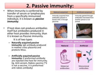 2. Passive immunity:
• When immunity is conferred by
transfer of serum or lymphocytes
from a specifically immunized
individual, it is known as passive
immunity.
• If host does not produce antibodies
itself but antibodies produced in
other host provides immunity, than
it is known as Passive immunity.
It is of two types
– Naturally acquired passive
immunity: IgG antibody produced
in mother cross placenta and
protects fetus.
– Artificially acquired passive
immunity: if preformed antibody
are injected into host for immunity.
Eg. Anti-venom, Rabies vaccine (*it
is not a vaccine, it is preformed
anti-rabies antibody)
 