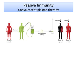 Passive Immunity
Convalescent plasma therapy
 