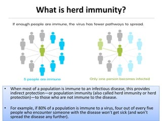 What is herd immunity?
• When most of a population is immune to an infectious disease, this provides
indirect protection—or population immunity (also called herd immunity or herd
protection)—to those who are not immune to the disease.
• For example, if 80% of a population is immune to a virus, four out of every five
people who encounter someone with the disease won’t get sick (and won’t
spread the disease any further).
 