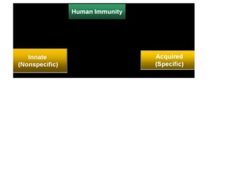 Immunity and immune system: Defense mechanism of the body | PDF