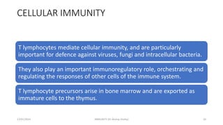 CELLULAR IMMUNITY
T lymphocytes mediate cellular immunity, and are particularly
important for defence against viruses, fungi and intracellular bacteria.
They also play an important immunoregulatory role, orchestrating and
regulating the responses of other cells of the immune system.
T lymphocyte precursors arise in bone marrow and are exported as
immature cells to the thymus.
13/01/2024 IMMUNITY (Dr Akshay Shetty) 20
 
