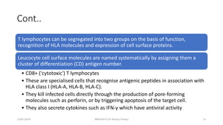 Cont..
T lymphocytes can be segregated into two groups on the basis of function,
recognition of HLA molecules and expression of cell surface proteins.
Leucocyte cell surface molecules are named systematically by assigning them a
cluster of differentiation (CD) antigen number.
• CD8+ ('cytotoxic') T lymphocytes
• These are specialised cells that recognise antigenic peptides in association with
HLA class I (HLA-A, HLA-B, HLA-C).
• They kill infected cells directly through the production of pore-forming
molecules such as perforin, or by triggering apoptosis of the target cell.
• They also secrete cytokines such as IFN-γ which have antiviral activity
13/01/2024 IMMUNITY (Dr Akshay Shetty) 21
 