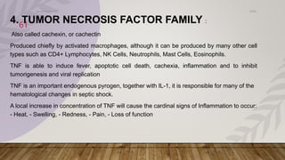 Cachectin IMMUNITY.pptx pathology point of view taken from roobins | PPTX