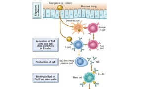 immune system its cells and their functions.pptx