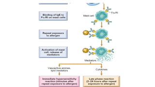 immune system its cells and their functions.pptx