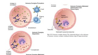 immune system its cells and their functions.pptx