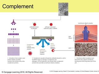 Immunity.pptx IMMUNITY EARTH AND LIFE SCIENCE | PPTX