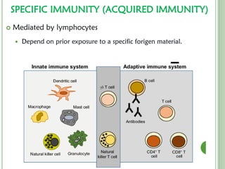Comprehensive Overview of Immunity: Innate and Adaptive Defense ...