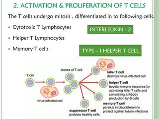 Comprehensive Overview of Immunity: Innate and Adaptive Defense ...