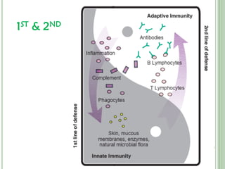 Comprehensive Overview of Immunity: Innate and Adaptive Defense ...
