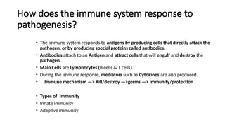 Comprehensive Overview of Innate and Adaptive Immunity and Immune ...