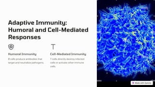 Adaptive Immunity:
Humoral and Cell-Mediated
Responses
Humoral Immunity
B cells produce antibodies that
target and neutralize pathogens.
Cell-Mediated Immunity
T cells directly destroy infected
cells or activate other immune
cells.
 