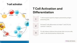 T Cell Activation and
Differentiation
1
T cells recognize specific antigens presented by antigen-
presenting cells.
2
Activated T cells differentiate into helper T cells (Th) and
cytotoxic T cells (Tc).
3
Th cells release cytokines that activate other immune cells,
while Tc cells directly destroy infected cells.
 