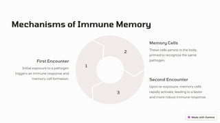 Mechanisms of Immune Memory
1
2
3
First Encounter
Initial exposure to a pathogen
triggers an immune response and
memory cell formation.
Memory Cells
These cells persist in the body,
primed to recognize the same
pathogen.
Second Encounter
Upon re-exposure, memory cells
rapidly activate, leading to a faster
and more robust immune response.
 