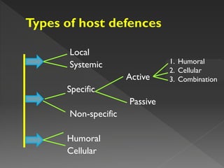 Local
Systemic
Active
Specific
Passive
Non-specific
Humoral
Cellular
1. Humoral
2. Cellular
3. Combination
 