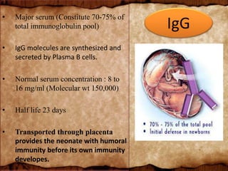 • Major serum (Constitute 70-75% of
total immunoglobulin pool)
• IgG molecules are synthesized and
secreted by Plasma B cells.
• Normal serum concentration : 8 to
16 mg/ml (Molecular wt 150,000)
• Half life 23 days
• Transported through placenta
provides the neonate with humoral
immunity before its own immunity
developes.
IgG
 