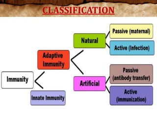 CLASSIFICATION
 
