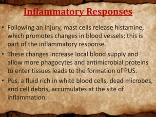 Inflammatory Responses
• Following an injury, mast cells release histamine,
which promotes changes in blood vessels; this is
part of the inflammatory response.
• These changes increase local blood supply and
allow more phagocytes and antimicrobial proteins
to enter tissues leads to the formation of PUS.
• Pus, a fluid rich in white blood cells, dead microbes,
and cell debris, accumulates at the site of
inflammation.
 