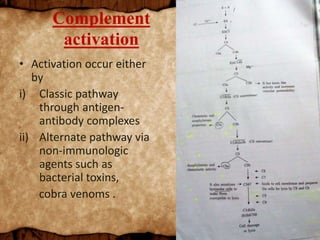 Complement
activation
• Activation occur either
by
i) Classic pathway
through antigen-
antibody complexes
ii) Alternate pathway via
non-immunologic
agents such as
bacterial toxins,
cobra venoms .
 
