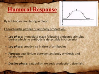 Humoral Response
• By antibodies circulating in blood
• Characteristic pattern of antibody production:
• Lag phase: immediate stage following antigenic stimulus
during which no antibody is detectable in circulation
• Log phase: steady rise in titre of antibodies
• Plateau: equilibrium between antibody synthesis and
catabolism
• Decline phase: catabolism exceeds production, titre falls
 