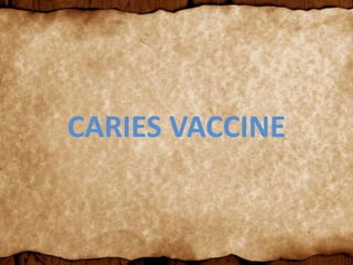 CARIES VACCINE
 