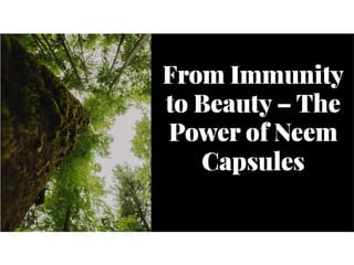 From Immunity to Beauty – The Power of Neem Capsules