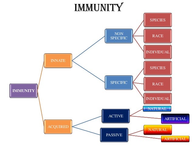 innate immunity
