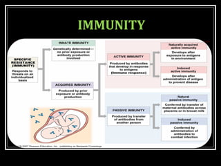 IMMUNITY
 