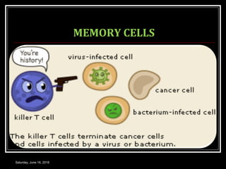 MEMORY CELLS
Saturday, June 16, 2018
 