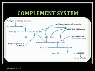 COMPLEMENT SYSTEM
Saturday, June 16, 2018
 