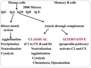 Plasma cells Memory B cells
2000 Mol/sec
IgG IgA IgM IgD Ig E
Direct attack Attack through complement
system
Agglutination CLASSICAL ALTERNATIVE
Precipitation (C1 to C9, B and D) (properdin pathway)
Neutralization Neutralization activate C3 and C5
Cytolysis Agglutination
Cytolysis
Chemotaxis, Opsonization
 
