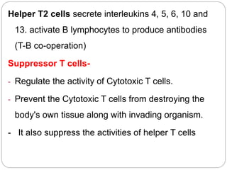 Helper T2 cells secrete interleukins 4, 5, 6, 10 and
13. activate B lymphocytes to produce antibodies
(T-B co-operation)
Suppressor T cells-
- Regulate the activity of Cytotoxic T cells.
- Prevent the Cytotoxic T cells from destroying the
body's own tissue along with invading organism.
- It also suppress the activities of helper T cells
 