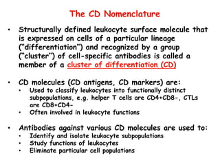 The CD Nomenclature
• Structurally defined leukocyte surface molecule that
is expressed on cells of a particular lineage
(“differentiation”) and recognized by a group
(“cluster”) of cell-specific antibodies is called a
member of a cluster of differentiation (CD)
• CD molecules (CD antigens, CD markers) are:
• Used to classify leukocytes into functionally distinct
subpopulations, e.g. helper T cells are CD4+CD8-, CTLs
are CD8+CD4-
• Often involved in leukocyte functions
• Antibodies against various CD molecules are used to:
• Identify and isolate leukocyte subpopulations
• Study functions of leukocytes
• Eliminate particular cell populations
 