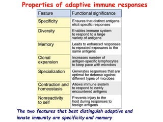 The two features that best distinguish adaptive and
innate immunity are specificity and memory
Properties of adaptive immune responses
 