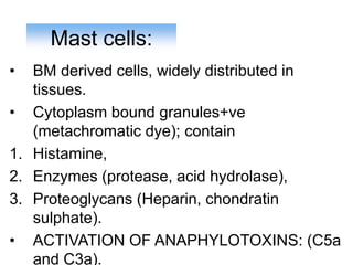 Mast cells:
• BM derived cells, widely distributed in
tissues.
• Cytoplasm bound granules+ve
(metachromatic dye); contain
1. Histamine,
2. Enzymes (protease, acid hydrolase),
3. Proteoglycans (Heparin, chondratin
sulphate).
• ACTIVATION OF ANAPHYLOTOXINS: (C5a
and C3a).
 