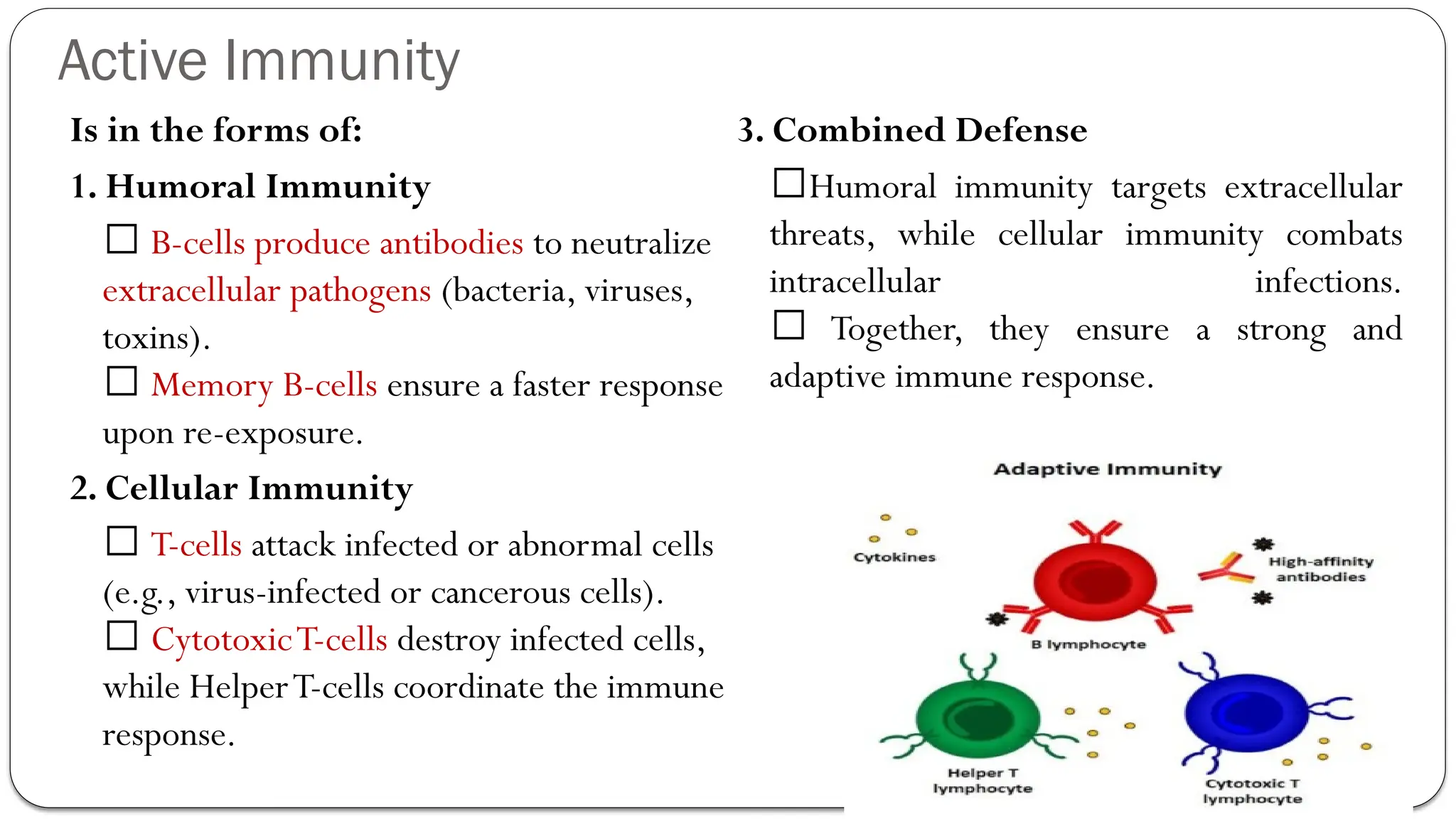Active Immunity
Is in the forms of:
1. Humoral Immunity
🔹 B-cells produce antibodies to neutralize
extracellular pathogens (bacteria, viruses,
toxins).
🔹 Memory B-cells ensure a faster response
upon re-exposure.
2. Cellular Immunity
🔹 T-cells attack infected or abnormal cells
(e.g., virus-infected or cancerous cells).
🔹 CytotoxicT-cells destroy infected cells,
while HelperT-cells coordinate the immune
response.
3. Combined Defense
🔹Humoral immunity targets extracellular
threats, while cellular immunity combats
intracellular infections.
🔹 Together, they ensure a strong and
adaptive immune response.
 