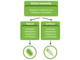 Immunity and its Types.hububhubibkinunubunni | PPTX