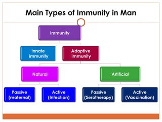 Main Types of Immunity in Man

 