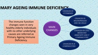 IMARY AGEING IMMUNE DEFICIENCY
The immune function
changes seen in very
healthy elderly individuals
with no other underlying
causes are referred as
Primary Ageing Immune
Deficiency.
MAIN
CHANGES
CHANGES IN
CYTOKINES
CHANGES IN CELL
MEDIATED
IMMUNITY AND T
LYMPHOCYTES
CHANGES IN B
LYMPHOCYTES
CHANGES IN
MACROPHAGES
AND NK CELLS
 
