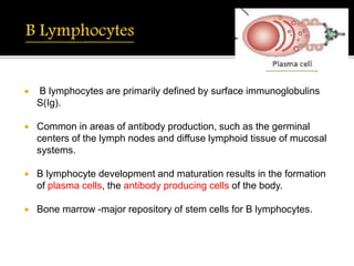  B lymphocytes are primarily defined by surface immunoglobulins
S(Ig).
 Common in areas of antibody production, such as the germinal
centers of the lymph nodes and diffuse lymphoid tissue of mucosal
systems.
 B lymphocyte development and maturation results in the formation
of plasma cells, the antibody producing cells of the body.
 Bone marrow -major repository of stem cells for B lymphocytes.
 
