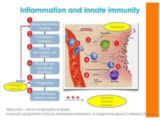 Immunity : Host Defence | PDF