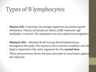 Types of B lymphocytes
• Plasma cells- it destroys the foregin organisms by producing the
antibodies. Plasma cell produces about 2,000 molecules ogf
antibodies / second. The antibodies are also called Immunoglobins.
• Memory cells – Memory B cell occupy the lymphoid tissue
throughout the body. The memory cell is inactive condition until the
body is exposed to the same organism for the second time.
• These phenomenon forms the basic principal of vaccination against
the infection.
 