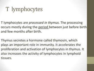 T lymphocytes
T lymphocytes are processed in thymus. The processing
occurs mostly during the period between just before birth
and few months after birth.
Thymus secretes a hormone called thymosin, which
plays an important role in immunity. It accelerates the
proliferation and activation of lymphocytes in thymus. It
also increases the activity of lymphocytes in lymphoid
tissues.
 