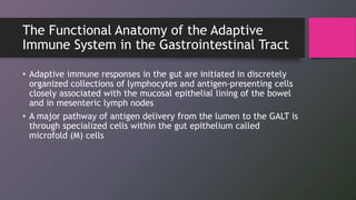 Immunity in the gastrointestinal system | PPTX