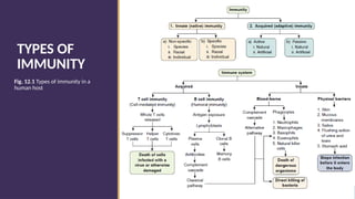 immunity and its components of immune system.pptx