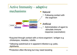 Active Immunity – adaptive
mechanisms
14
 Natural
 Following contact with
the organism
 Artificial
 Administration of agent to
stimulate immune
response (vaccination)
•Acquired through contact with a micro-organism / antigen e.g
chickenpox, measles, rubella.
• following subclinical or in apparent infection e.g: polio,
diphtheria.
•Protection often life-long but may need boosting
 